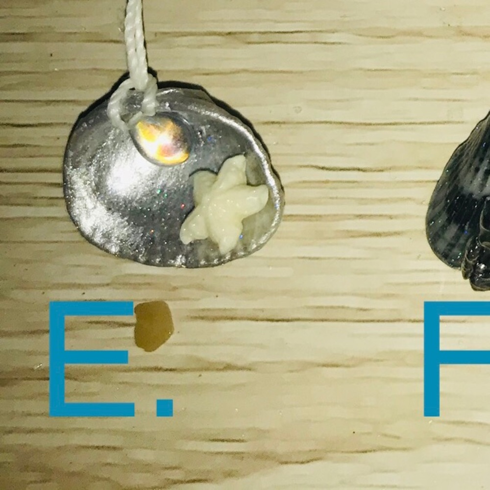 E: Authentic Dainty Seashell Necklace